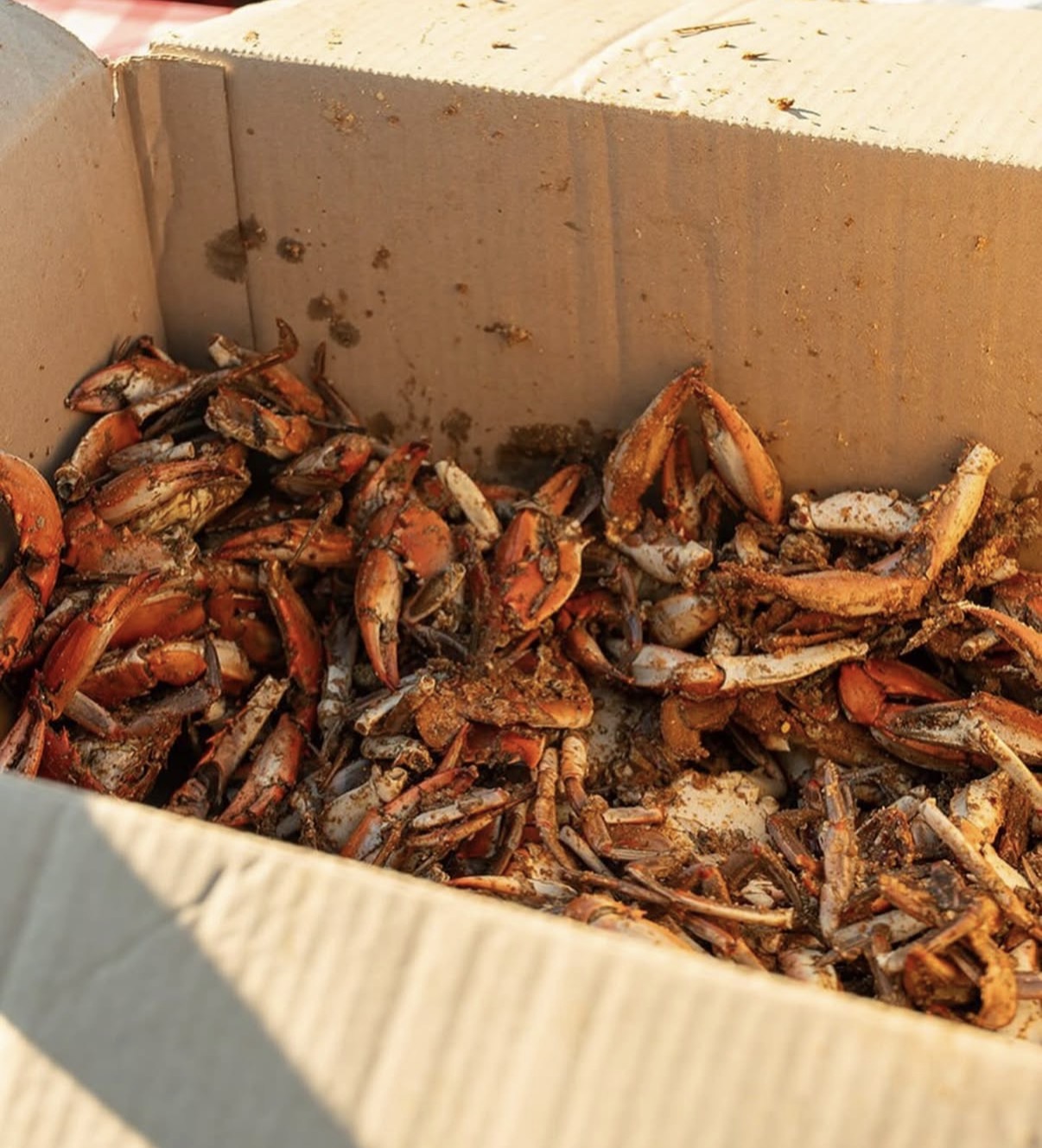 All You Can Eat Crabs
